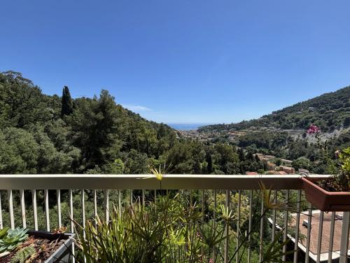 Trois pièces en bon état avec jolie terrasse, belle vue panoramique jusqu'à la mer, cave, possibilité garage