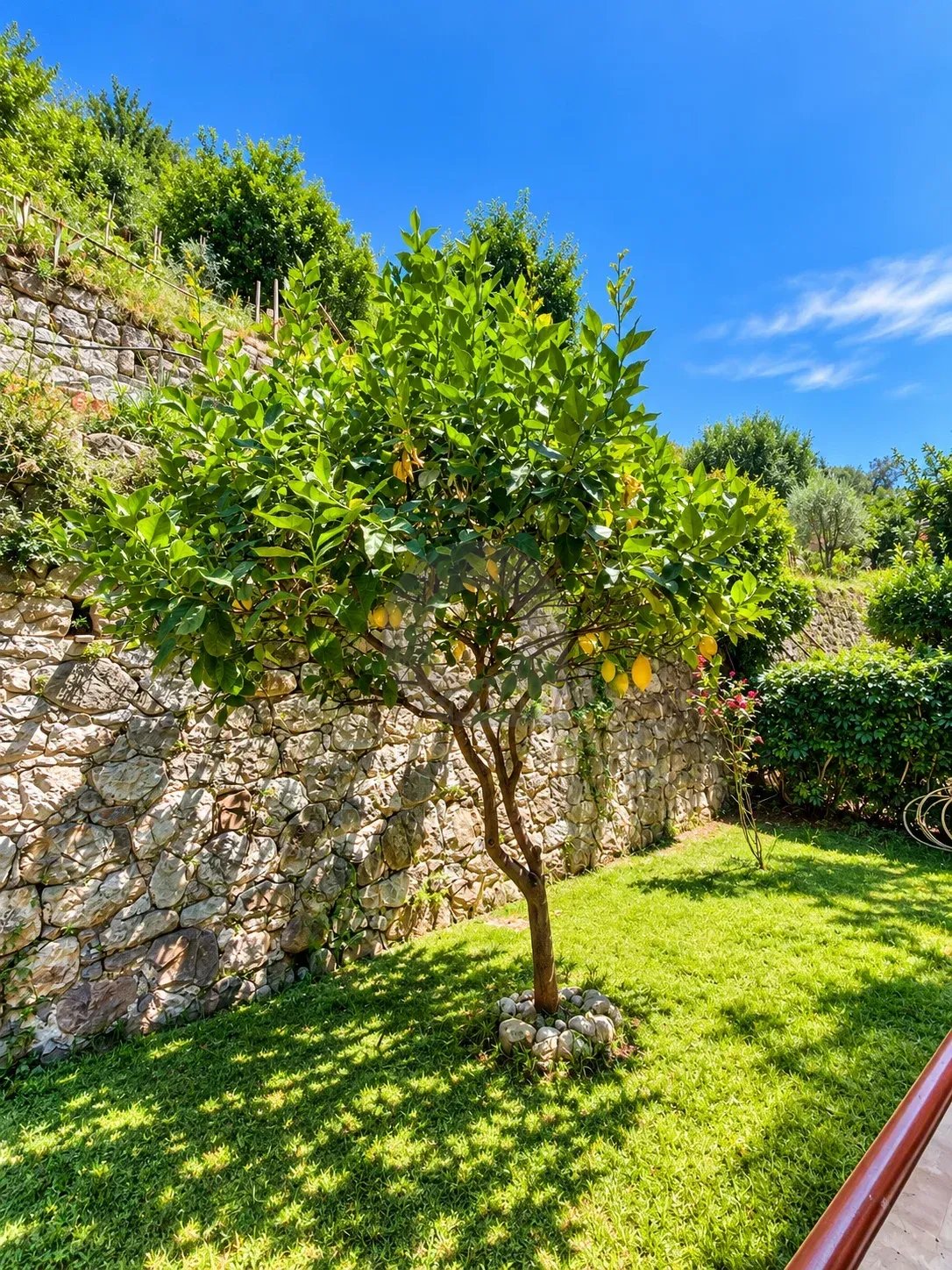 A VENDRE - MENTON CAREÏ - BEAU 3P AVEC CAVE EN BON ETAT TRAVERSANT BALCON TERRASSE ET JARDIN