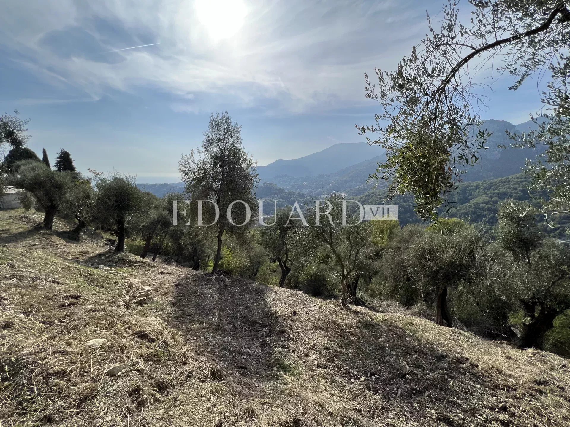 En exclusivité villa en cours de rénovation avec vaste terrain, sur la commune de Castellar